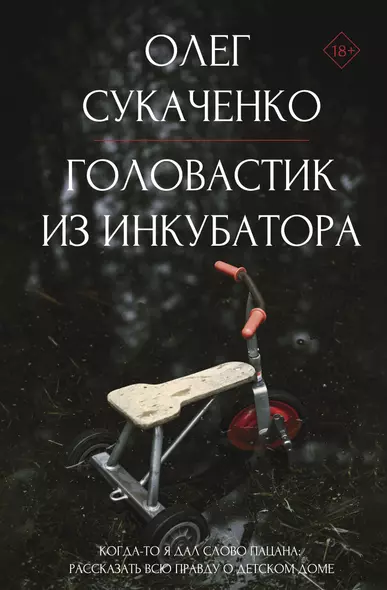 Головастик из инкубатора. Когда-то я дал слово пацана: рассказать всю правду о детском доме - фото 1