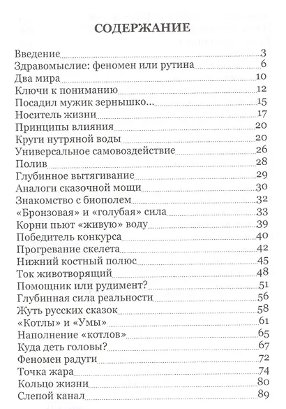Сказочная реальность (ВелСевТрад) Шерстенников - фото 2