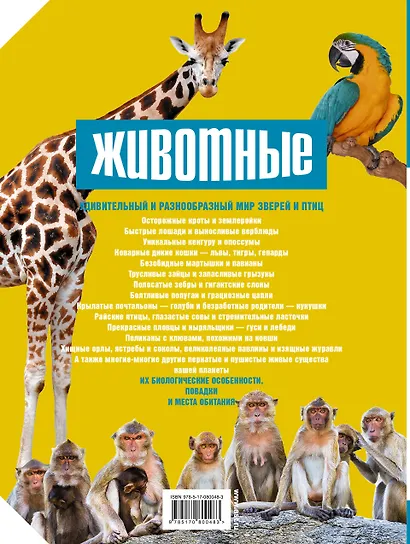 Животные: птицы и звери - фото 2