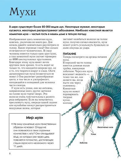 Насекомые. Полная энциклопедия - фото 12