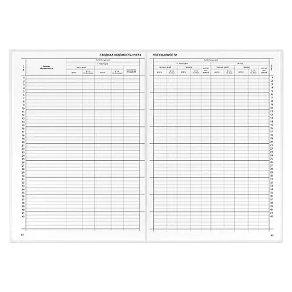 Классный журнал, 10-11 класс, А4 - фото 4