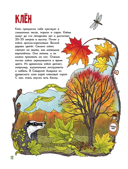 Деревья - фото 4