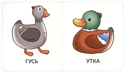 Книга Мои первые слова. Домашние животные. 1-2 года - фото 2