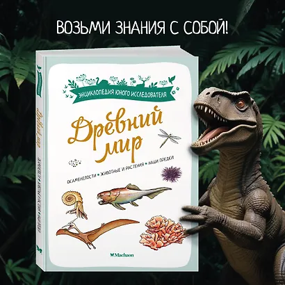 Древний мир. Окаменелости. Животные и растения. Наши предки - фото 4