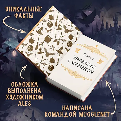 Комплект из 2 книг. Гарри Поттер фанбук. Северус + Я получил сову! (ИК) - фото 7