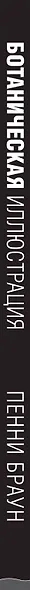 Ботаническая иллюстрация. Пошаговое руководство. От эскиза до готовой композиции - фото 5