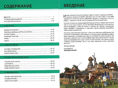 Сельское хозяйство. Minecraft. - фото 3