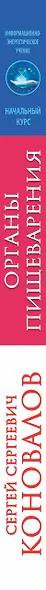 Органы пищеварения. Информационно-Энергетическое Учение. Начальный курс - фото 4