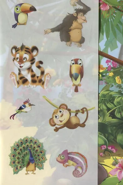 В джунглях - фото 3