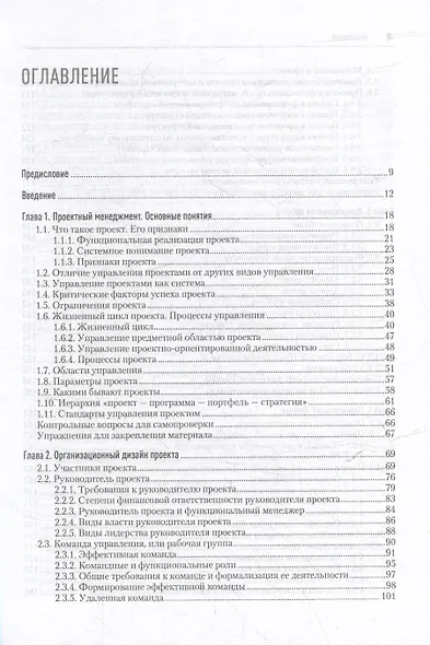 Основы управления проектами в компании. Учебное пособие - фото 8