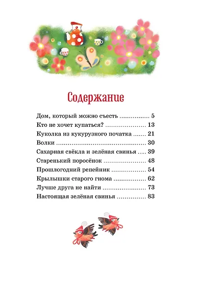 Изюмка и гном - фото 14