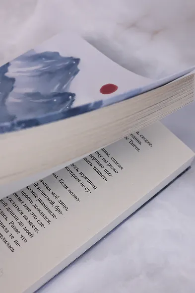 Веди меня через бури горы Химицу - фото 12