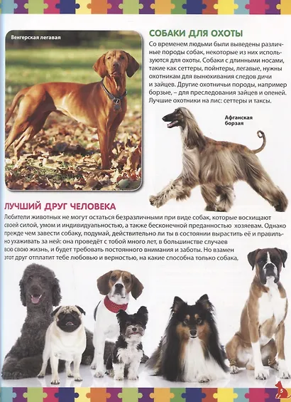 Собаки. Детская энциклопедия - фото 3