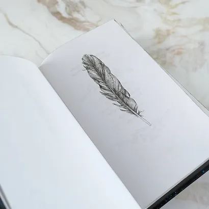 Шторм и ярость - фото 10