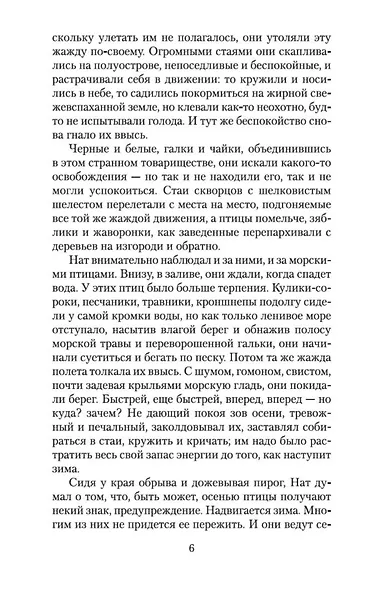 Птицы и другие истории - фото 8