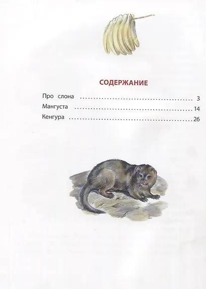 Про слона - фото 2