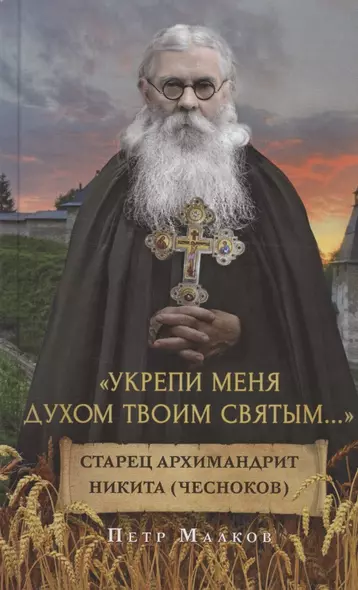 "Укрепи меня Духом Твоим Святым…". Жизнеописание, дневники, письма старца архимандрита Никиты (Чеснокова) - фото 1