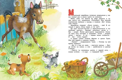 Мамины любимчики - фото 6
