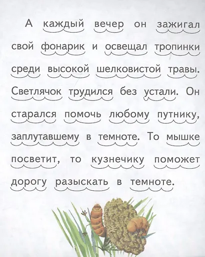 Бал у Светлячка - фото 5