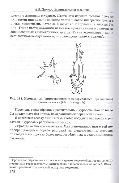 Занимательная ботаника - фото 5