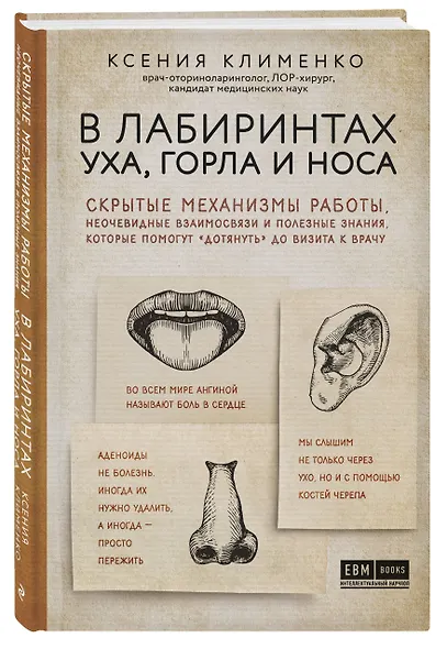 В лабиринтах уха, горла и носа. Скрытые механизмы работы, неочевидные взаимосвязи и полезные знания, которые помогут "дотянуть" до визита к врачу - фото 3