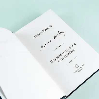 О дивный новый мир. Слепец в Газе - фото 7