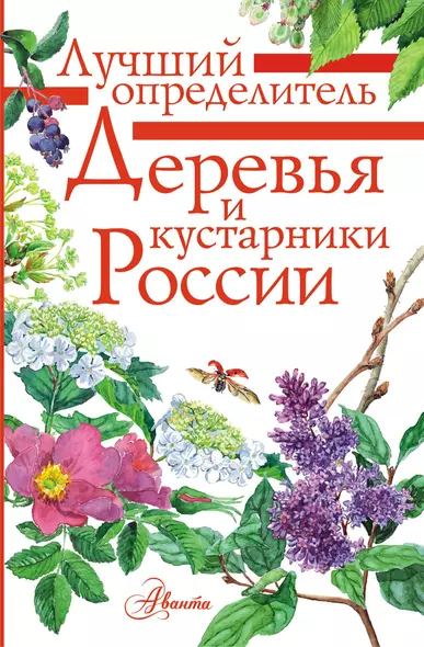 Деревья и кустарники России. Определитель - фото 1