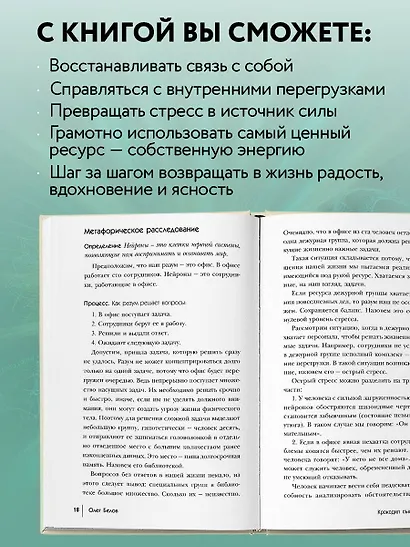 Открытый код сансары. Управление несчастьем или как подсознание манипулирует разумом - фото 5