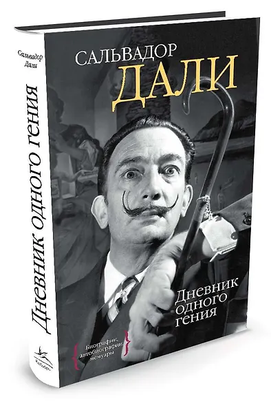 Дневник одного гения - фото 2