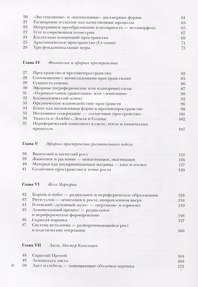 Растение между солнцем и землей - фото 3