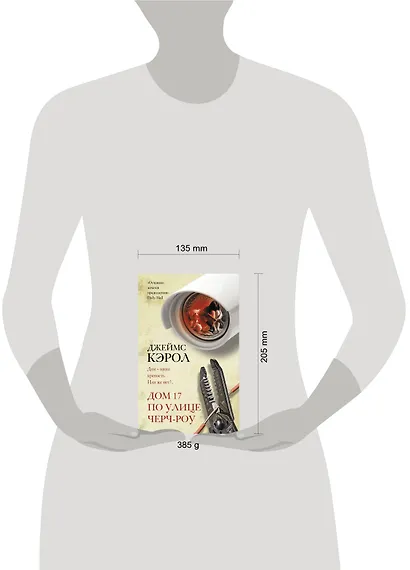 Дом 17 по улице Черч-роу - фото 3