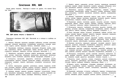 30000 тренировочных заданий по русскому языку. 2 класс - фото 4