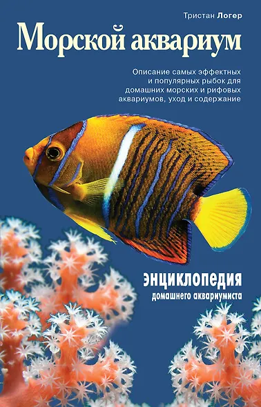 Морской аквариум - фото 1