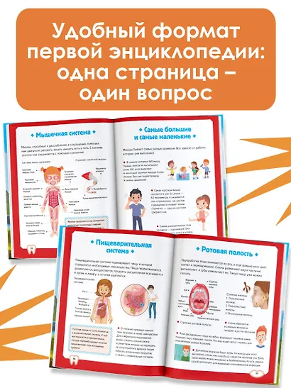 Тело человека - фото 5