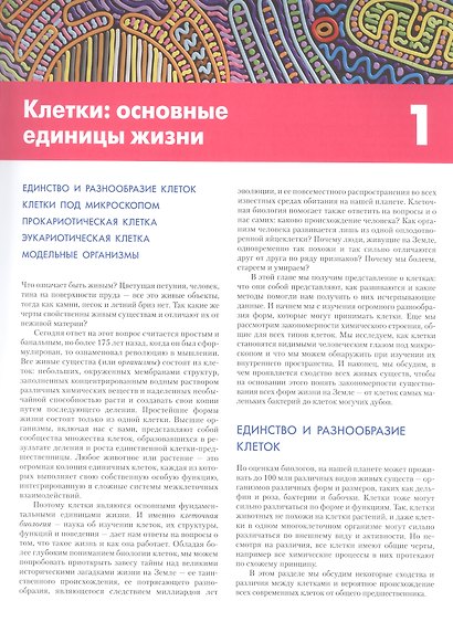 Основы молекулярной биологии клетки - фото 6