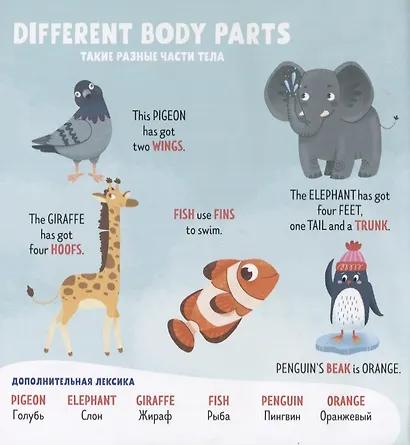 Мой первый английский. Body. Части тела - фото 4