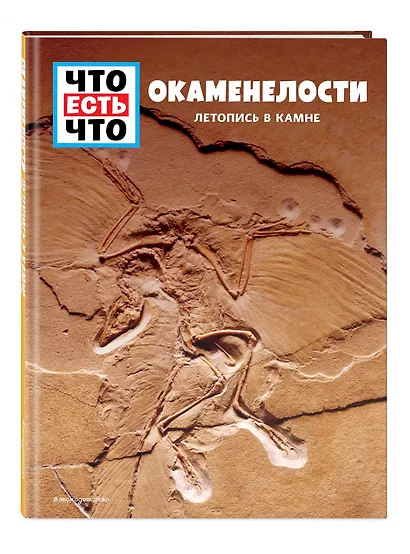 ОКАМЕНЕЛОСТИ. Летопись в камне - фото 3