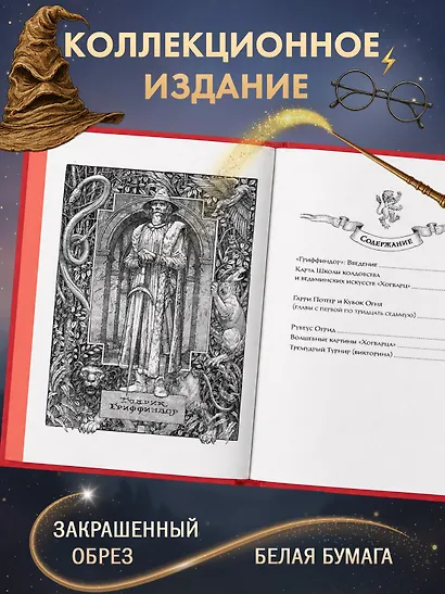 Гарри Поттер и Кубок Огня (Гриффиндор) - фото 5