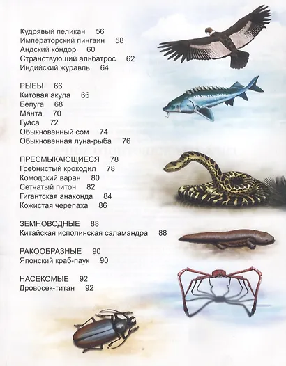 Гиганты животного мира. Энциклопедия - фото 3