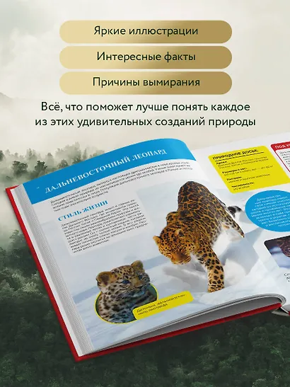 Красная книга России. От Байкала до Камчатки. Иллюстрированная энциклопедия школьника (48 стр.) - фото 5