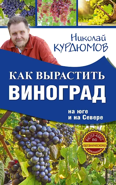 Как вырастить виноград на Юге и на Севере - фото 1