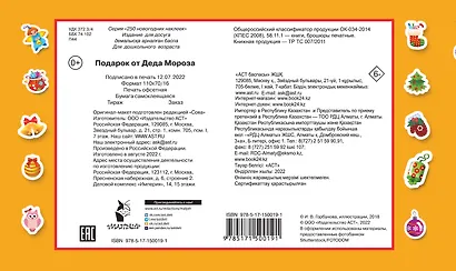 Подарок о Деда Мороза - фото 2