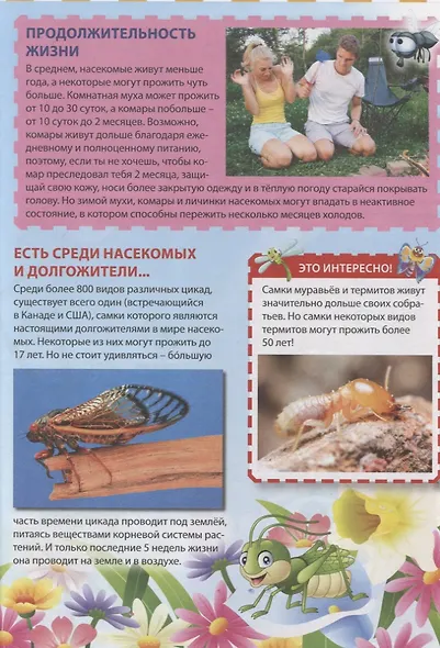 Мир насекомых - фото 4