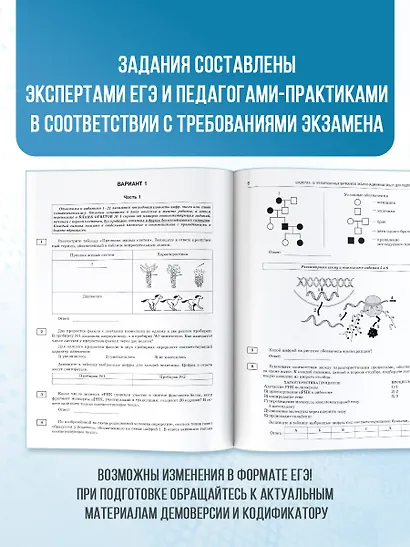 ЕГЭ-2026. Биология. 10 тренировочных вариантов экзаменационных работ для подготовки к единому государственному экзамену - фото 6