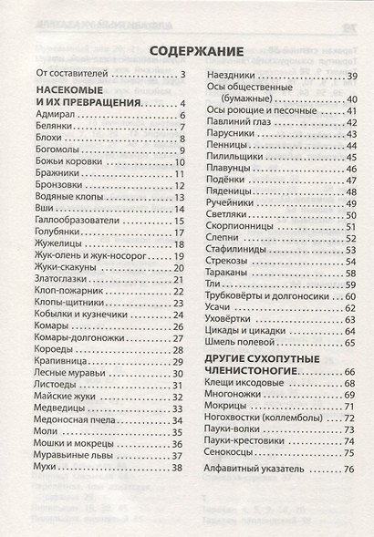 Насекомые, пауки, многоножки. Начальная школа - фото 2