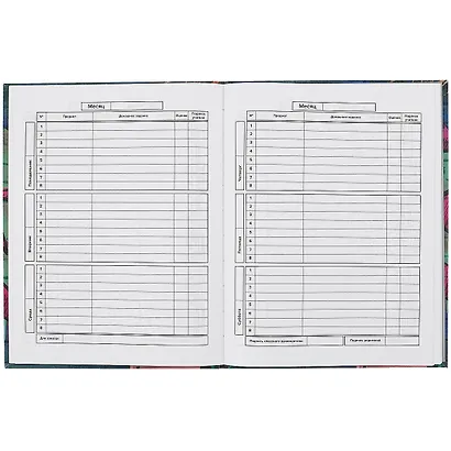 Дневник школьный Феникс+, "Стрит-арт" - фото 2