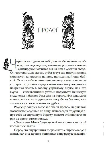 Тень ворона - фото 4