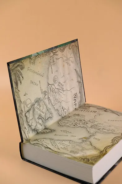 Сожженные земли. Закон дитто - фото 7