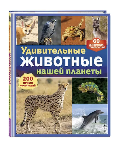 Удивительные животные нашей планеты - фото 3