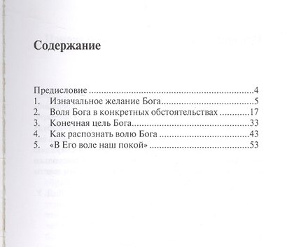 Божья воля - фото 2